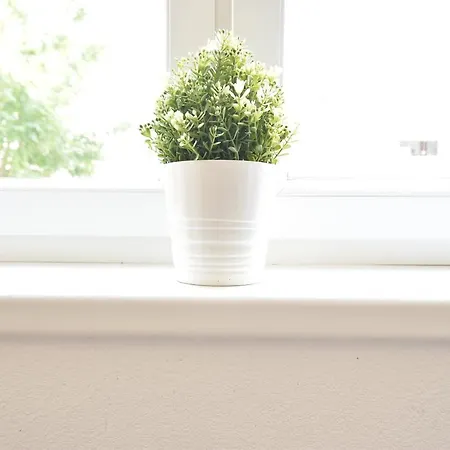 Apartman Riesiges Zentrales Mit Parkplatz Innsbruck