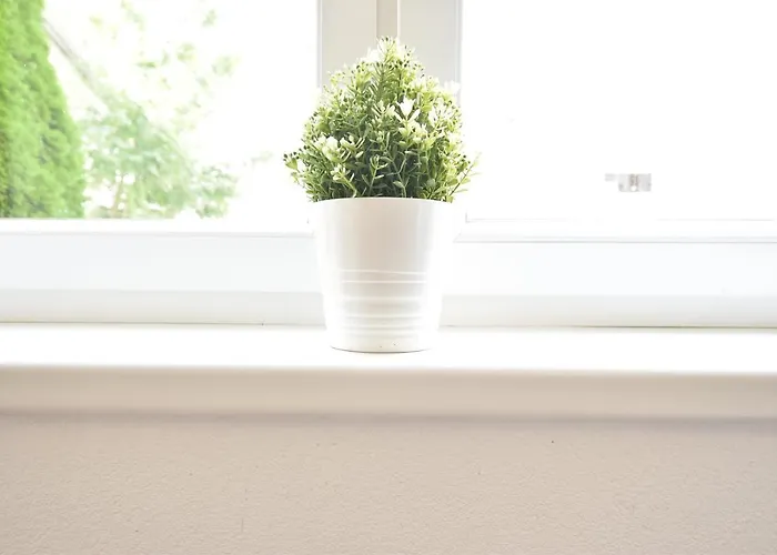 Appartement Riesiges Zentrales Mit Parkplatz Innsbruck